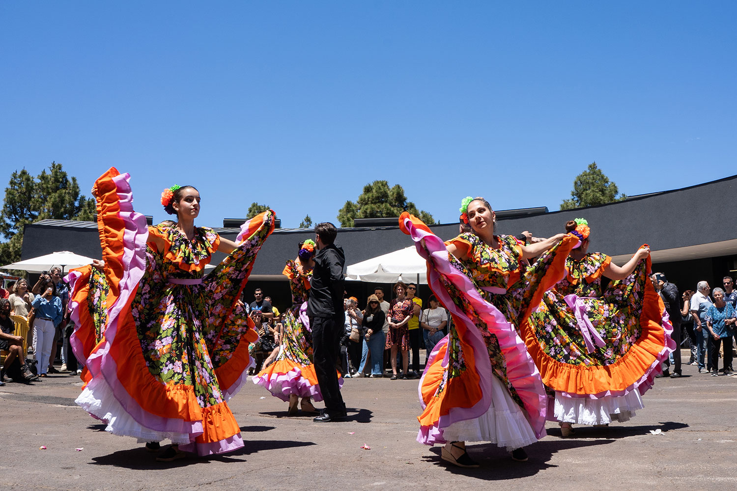 feriadelasculturasdelmundo-2026-puntagorda09